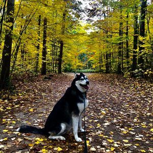 Meet your Posher, Adeline